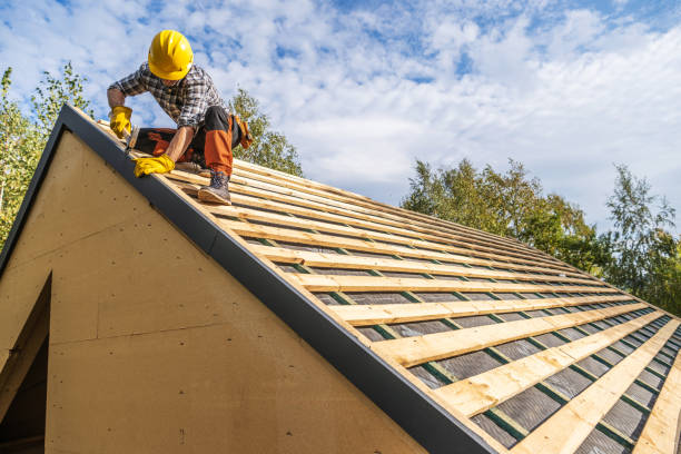 Best Roof Gutter Cleaning  in Starkville, MS